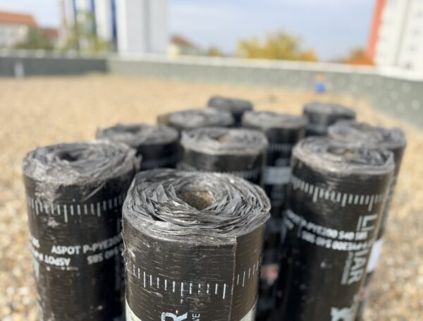 Wymiana pokrycia dachowego na&nbsp;Uniwersytecie Opolskim